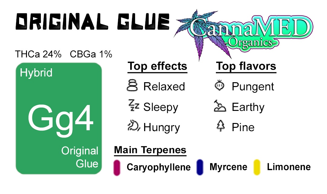 Original Glue / 3.5g